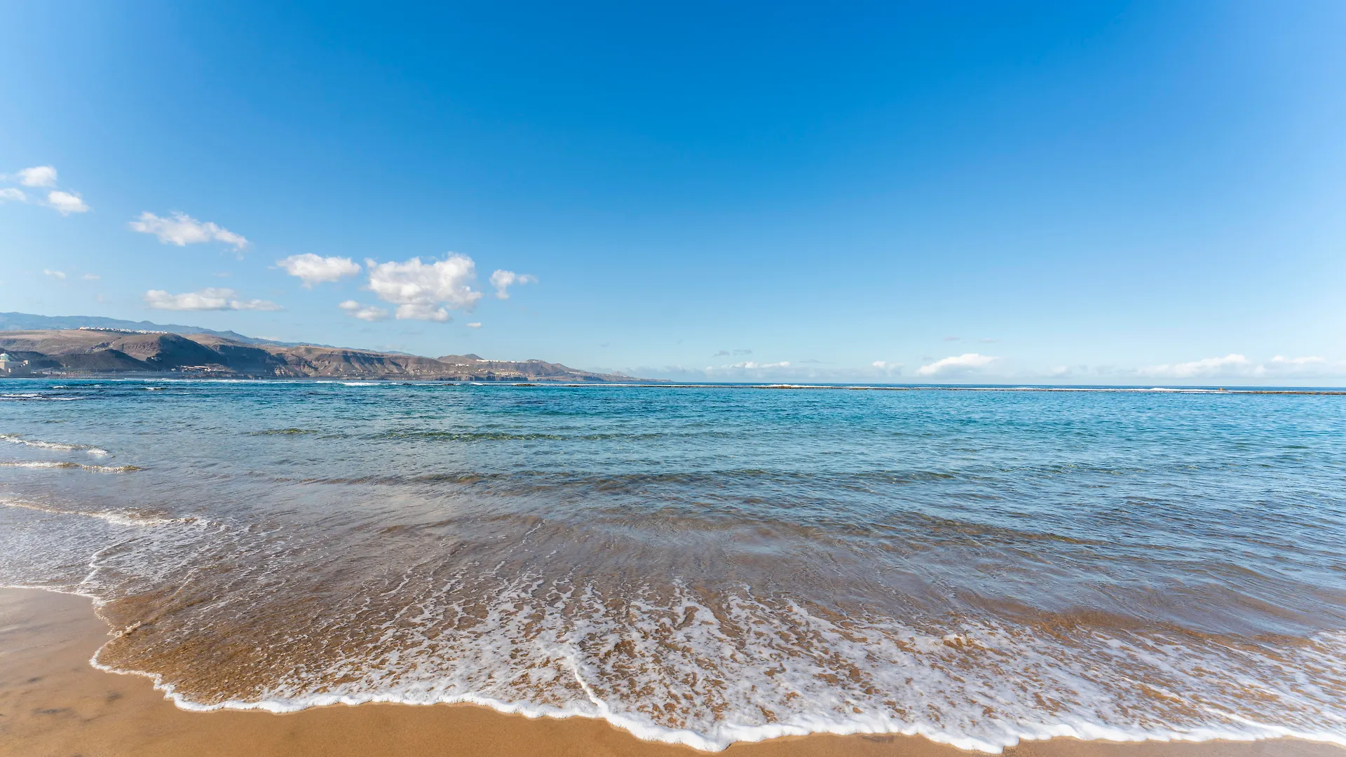 Occidental Las Canteras location